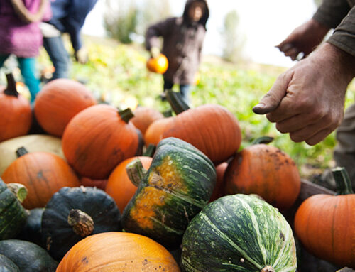 How to Store Garden Vegetables Over Winter